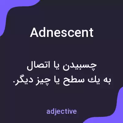 معنی adnescent به فارسی معنی adnescent به فارسی