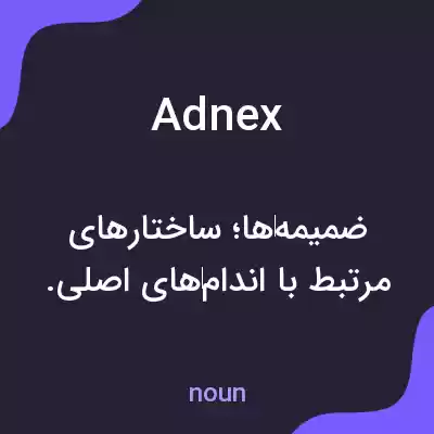 معنی adnex به فارسی معنی adnex به فارسی