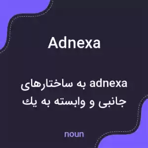 معنی adnexa به فارسی معنی adnexa به فارسی