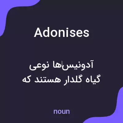 معنی adonises به فارسی معنی adonises به فارسی