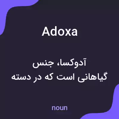 معنی adoxa به فارسی معنی adoxa به فارسی