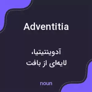 معنی adventitia به فارسی معنی adventitia به فارسی