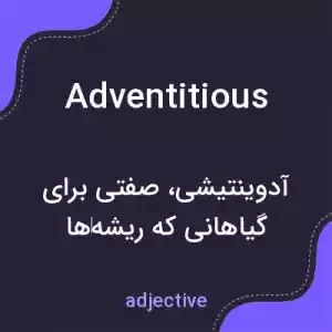 معنی adventitious به فارسی معنی adventitious به فارسی