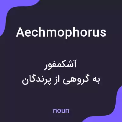 معنی aechmophorus به فارسی معنی aechmophorus به فارسی