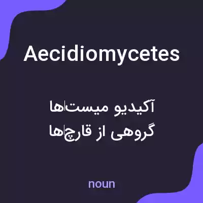 معنی aecidiomycetes به فارسی معنی aecidiomycetes به فارسی