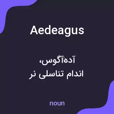 معنی aedeagus به فارسی معنی aedeagus به فارسی
