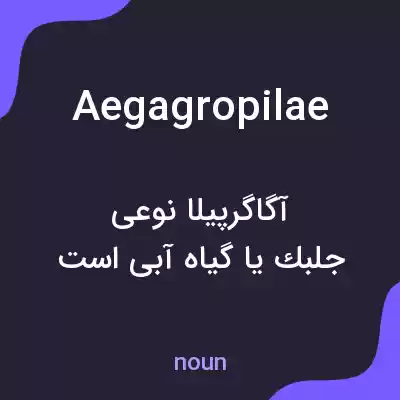 معنی aegagropilae به فارسی معنی aegagropilae به فارسی