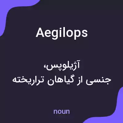 معنی aegilops به فارسی معنی aegilops به فارسی
