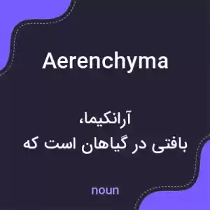 معنی aerenchyma به فارسی معنی aerenchyma به فارسی