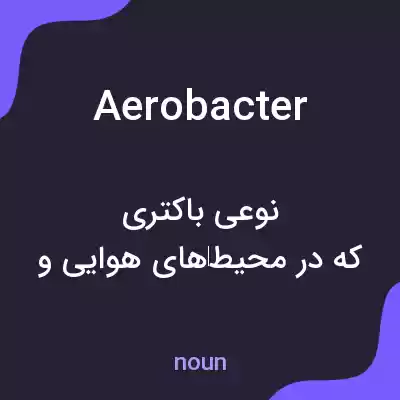 معنی aerobacter به فارسی معنی aerobacter به فارسی