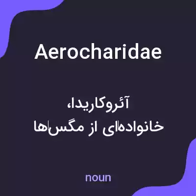 معنی aerocharidae به فارسی معنی aerocharidae به فارسی