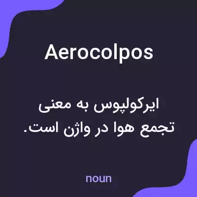 معنی aerocolpos به فارسی معنی aerocolpos به فارسی
