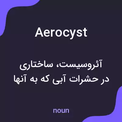 معنی aerocyst به فارسی معنی aerocyst به فارسی