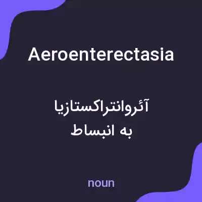 معنی aeroenterectasia به فارسی معنی aeroenterectasia به فارسی