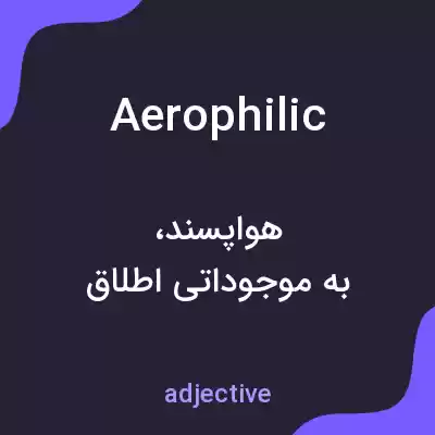 معنی aerophilic به فارسی معنی aerophilic به فارسی