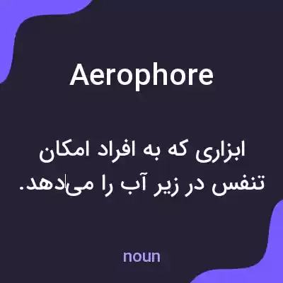 معنی aerophore به فارسی معنی aerophore به فارسی