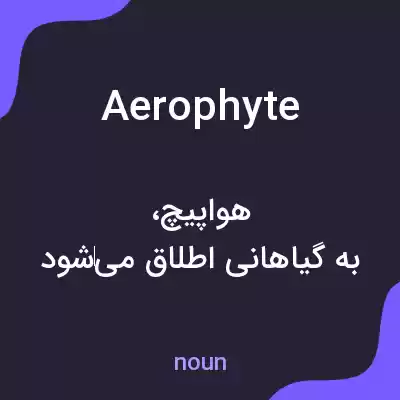 معنی aerophyte به فارسی معنی aerophyte به فارسی