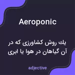 معنی aeroponic به فارسی
