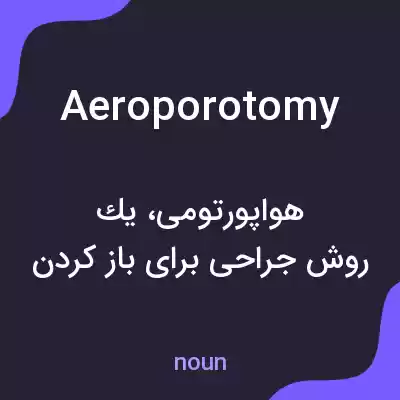 معنی aeroporotomy به فارسی معنی aeroporotomy به فارسی