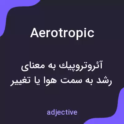 معنی aerotropic به فارسی معنی aerotropic به فارسی