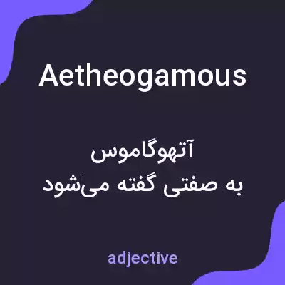 معنی aetheogamous به فارسی معنی aetheogamous به فارسی