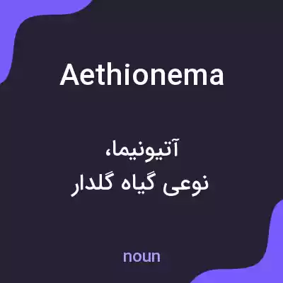معنی aethionema به فارسی معنی aethionema به فارسی