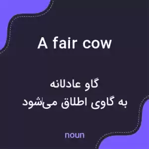 معنی a fair cow به فارسی معنی a fair cow به فارسی