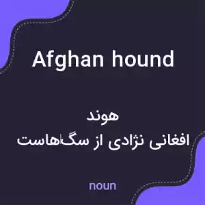 معنی afghan hound به فارسی معنی afghan hound به فارسی