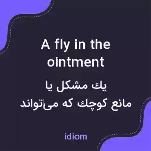 معنی a fly in the ointment به فارسی معنی a fly in the ointment به فارسی