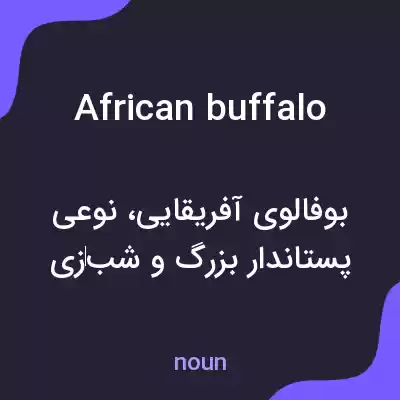 معنی african buffalo به فارسی معنی african buffalo به فارسی