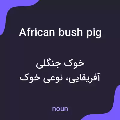 معنی african bush pig به فارسی