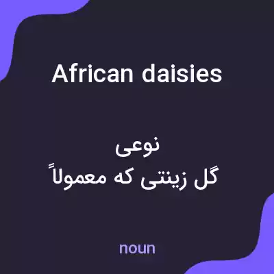 معنی african daisies به فارسی