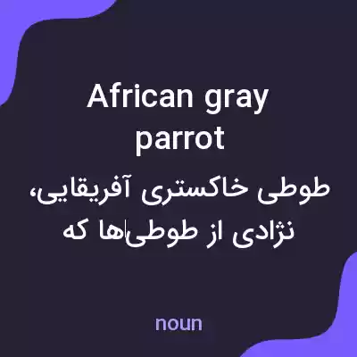 معنی african gray parrot به فارسی