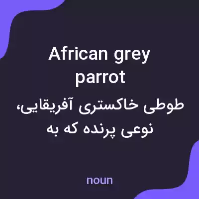 معنی african grey parrot به فارسی معنی african grey parrot به فارسی