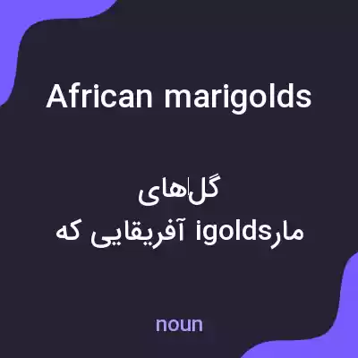 معنی african marigolds به فارسی معنی african marigolds به فارسی