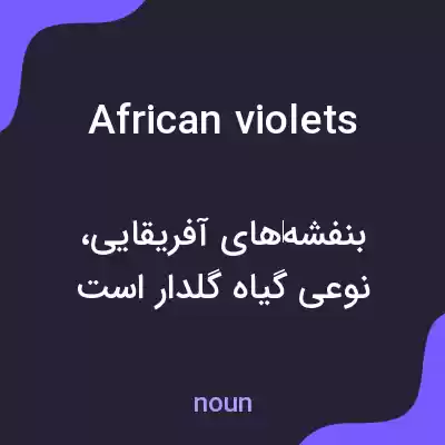 معنی african violets به فارسی معنی african violets به فارسی