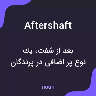 معنی aftershaft به فارسی معنی aftershaft به فارسی