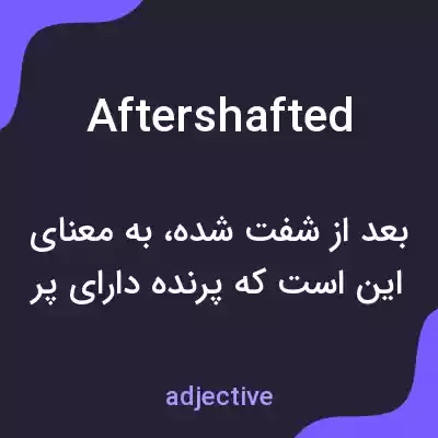 معنی aftershafted به فارسی معنی aftershafted به فارسی