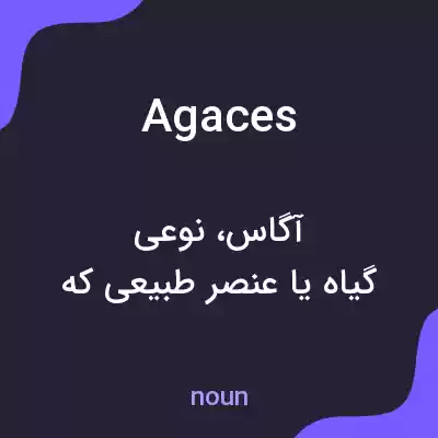 معنی agaces به فارسی معنی agaces به فارسی