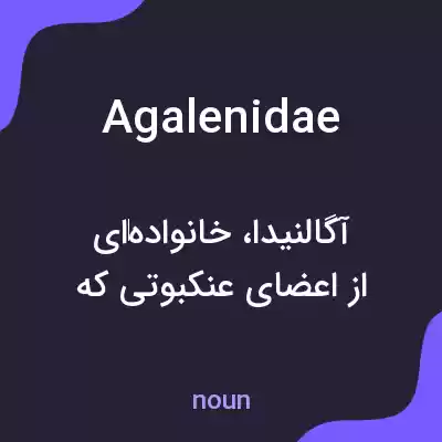 معنی agalenidae به فارسی معنی agalenidae به فارسی