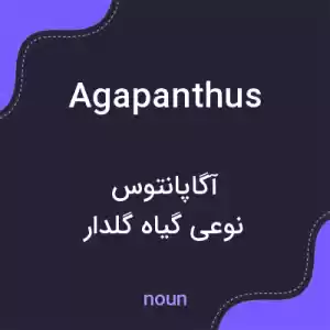 معنی agapanthus به فارسی معنی agapanthus به فارسی