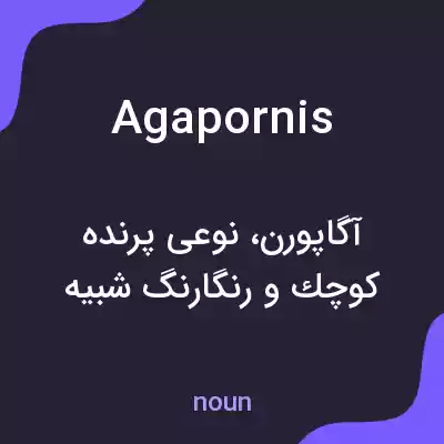 معنی agapornis به فارسی معنی agapornis به فارسی