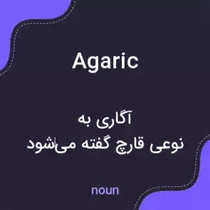 معنی agaric به فارسی معنی agaric به فارسی