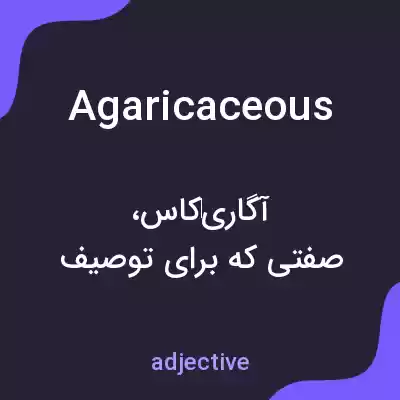 معنی agaricaceous به فارسی معنی agaricaceous به فارسی