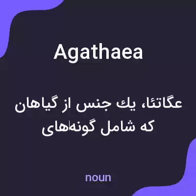 معنی agathaea به فارسی معنی agathaea به فارسی