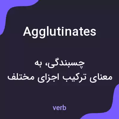 معنی agglutinates به فارسی معنی agglutinates به فارسی