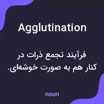معنی agglutination به فارسی معنی agglutination به فارسی