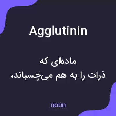 معنی agglutinin به فارسی معنی agglutinin به فارسی