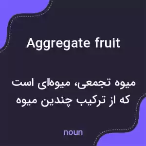 معنی aggregate fruit به فارسی معنی aggregate fruit به فارسی