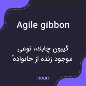 معنی agile gibbon به فارسی معنی agile gibbon به فارسی